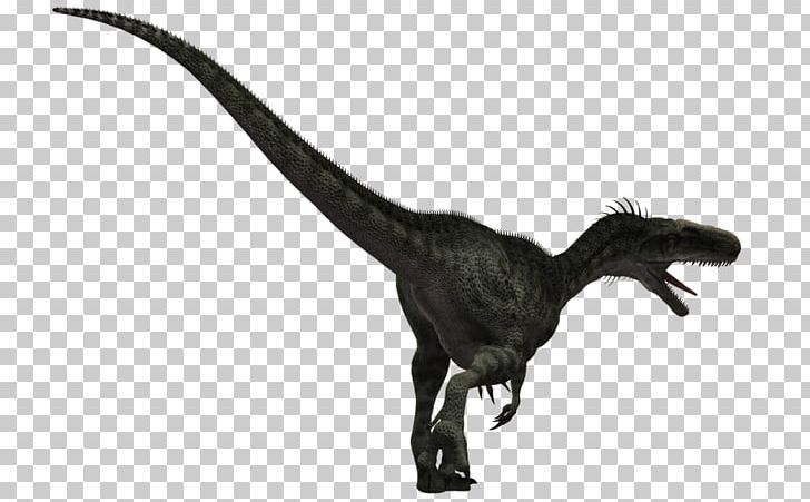 Monolophosaurus Velociraptor Majungasaurus Aardonyx Apatosaurus PNG, Clipart, Aardonyx, Antarctosaurus, Apatosaurus, Black And White, Blog Free PNG Download
