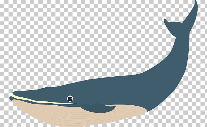 Tucuxi Porpoise Cetacea Blue Whale Illustration PNG, Clipart, Apk, Art, Blue, Blue Whale, Cetacea Free PNG Download