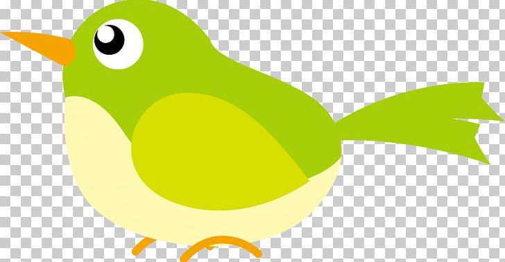 Bird Illustration. PNG, Clipart, Artwork, Beak, Bird, Cartoon, Fauna Free PNG Download