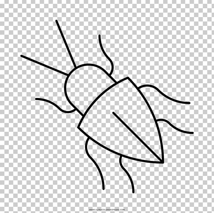 Drawing Black And White Beetle PNG, Clipart, Angle, Animals, Art, Artwork, Beetle Free PNG Download