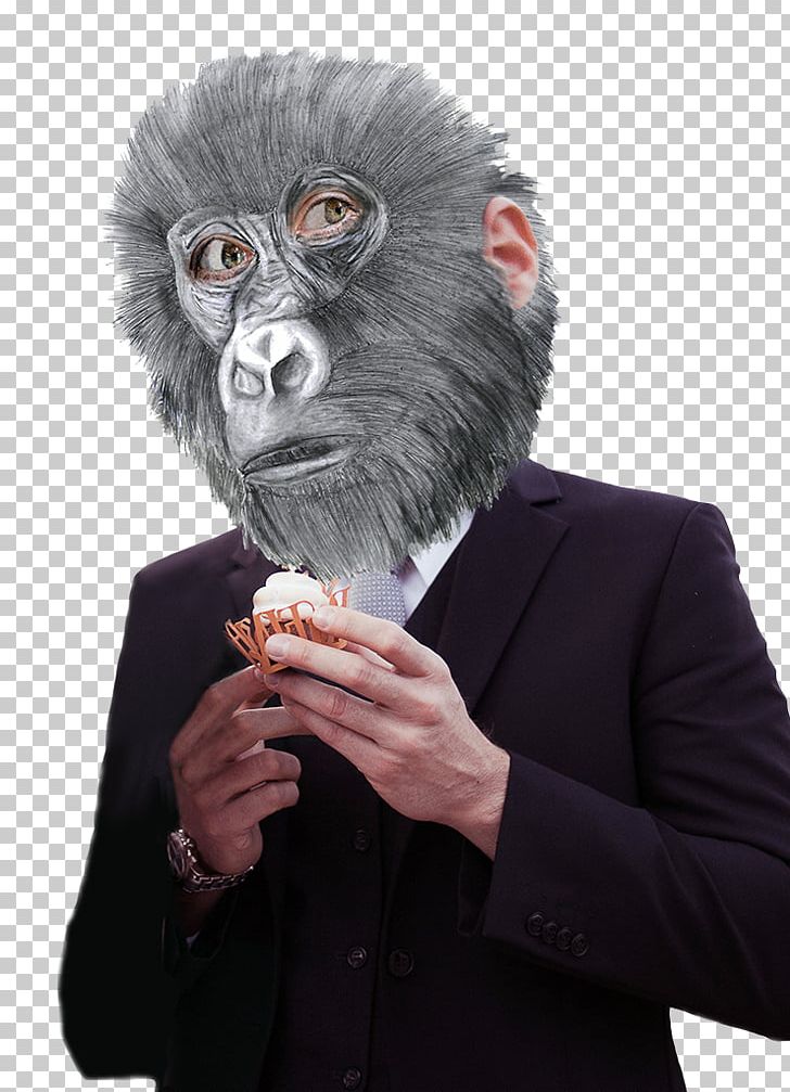 Gorilla Monkey Mask Snout Ape PNG, Clipart, Animals, Ape, Costume, Fur, Gorilla Free PNG Download