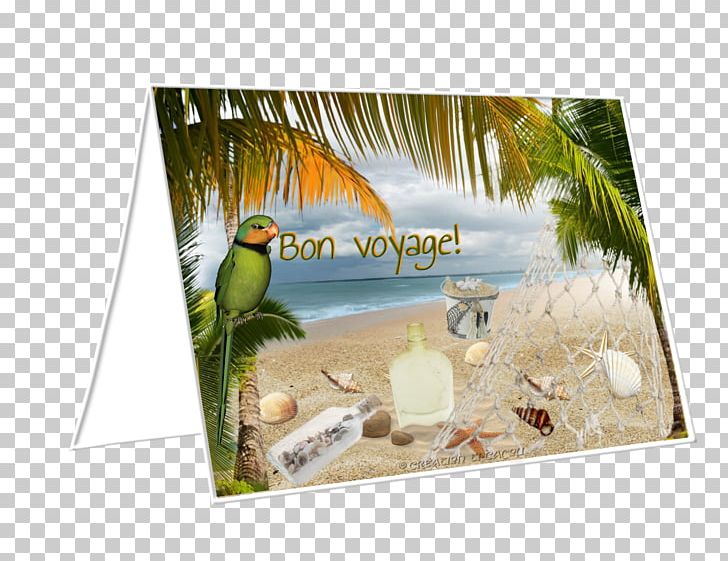 Advertising Frames Fauna E-card PNG, Clipart, Advertising, Bird, Bon Voyage, Desktop Wallpaper, Ecard Free PNG Download
