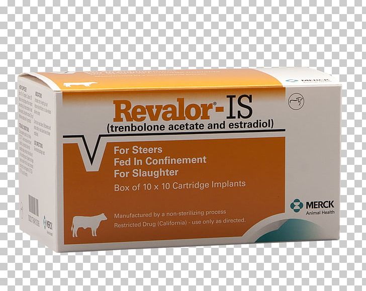 Beef Cattle Calf Anabolic Steroid Animal Slaughter Feedlot PNG, Clipart, Anabolic Steroid, Animal Slaughter, Beef Cattle, Calf, Cattle Free PNG Download
