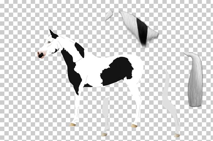 Horse White PNG, Clipart, Animals, Black And White, Horse, Horse Like Mammal, Livestock Free PNG Download