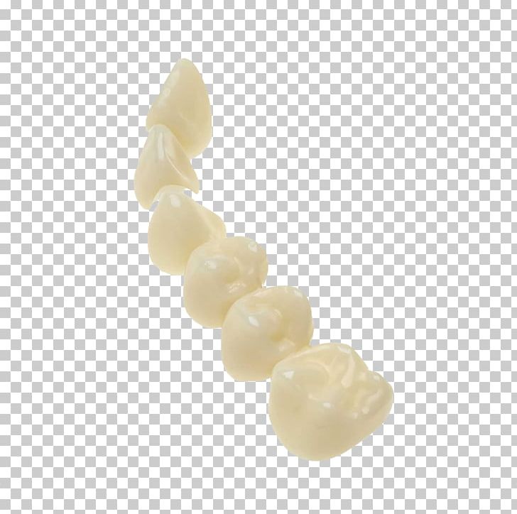 Human Tooth Dentistry 3D Printing PNG, Clipart, 3d Printing, Bead, Crown, Dent, Dental Curing Light Free PNG Download