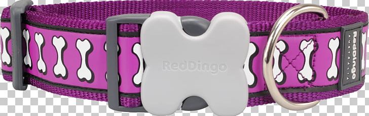 Dog Collar D-ring Pet PNG, Clipart, Bone, Collar, Dog, Dog Collar, Dring Free PNG Download