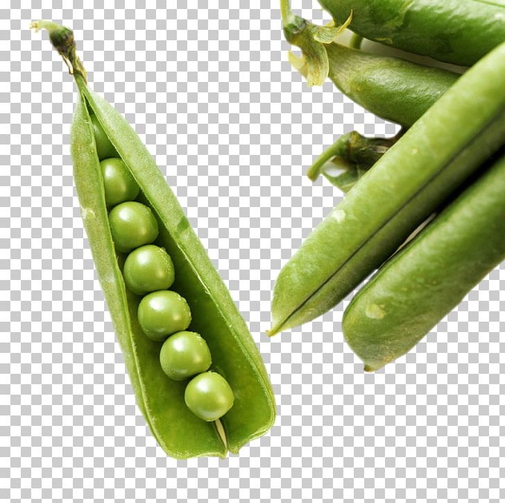 Green Bean Vegetable Food Common Bean PNG, Clipart, Bean, Beans, Blanching, Broad Bean, Butterfly Pea Free PNG Download