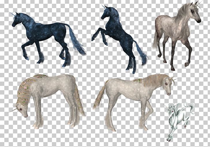 Horse Unicorn Computer Icons PNG, Clipart, Animal Figure, Animals, Colt, Computer Icons, Download Free PNG Download