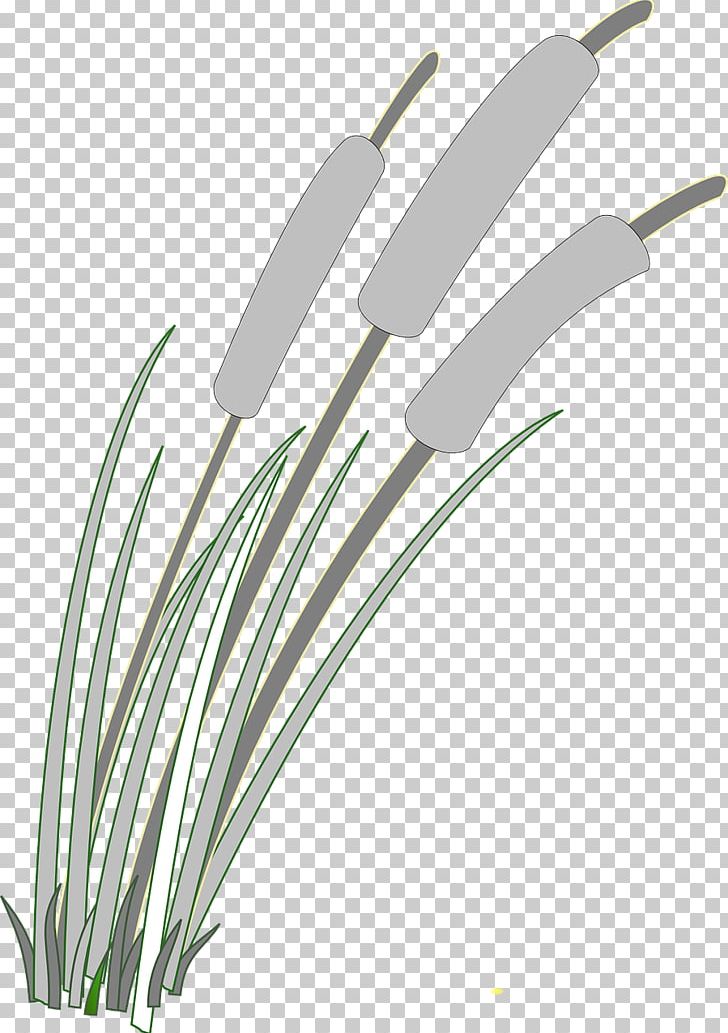 Reed PNG, Clipart, Computer Icons, Desktop Wallpaper, Download, Free Reed Aerophone, Grass Free PNG Download