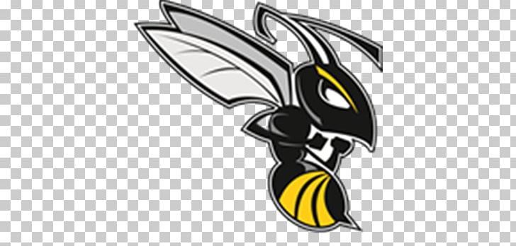 Charlotte Hornets Wasp Bee PNG, Clipart, Alumni, Artwork, Baldfaced Hornet, Black And White, Color Free PNG Download