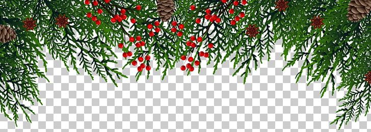 Christmas Decoration Christmas Ornament Christmas Tree PNG, Clipart, Blog, Blue, Branch, Christmas, Christmas Clipart Free PNG Download