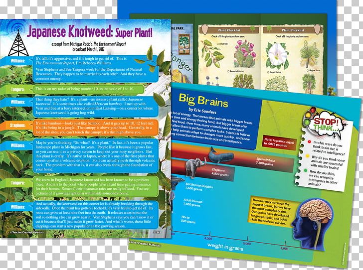 Display Board Product Brochure PNG, Clipart, Advertising, Brochure, Display Board, Plant Material Free PNG Download