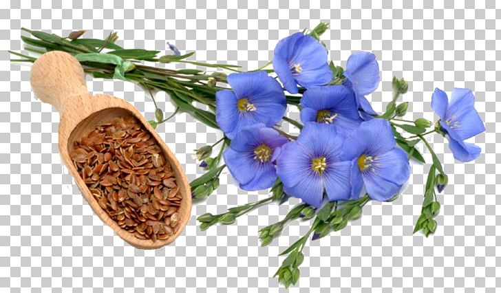Flax Lignan Plant Secoisolariciresinol Diglucoside Linseed Oil PNG, Clipart, Bellflower Family, Blue, Climate, Cool, Cool Backgrounds Free PNG Download