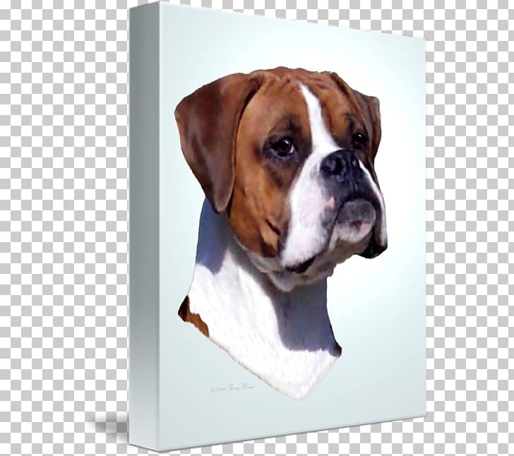 Valley Bulldog Boxer Olde English Bulldogge Dog Breed PNG, Clipart, Art, Bathroom, Boxer, Boxer Dog, Bulldog Free PNG Download