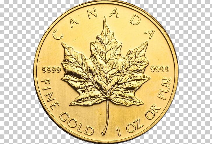 Canada Canadian Gold Maple Leaf Canadian Maple Leaf Gold Coin PNG, Clipart, Bullion, Bullion Coin, Canada, Canadian, Canadian Gold Maple Leaf Free PNG Download