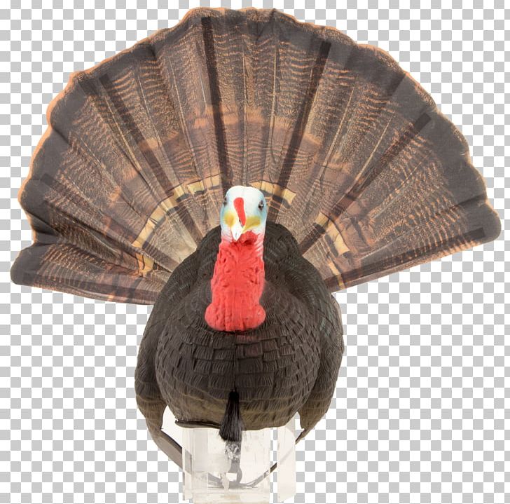 Decoy Hunting Mallard Chicken Domestication PNG, Clipart,  Free PNG Download