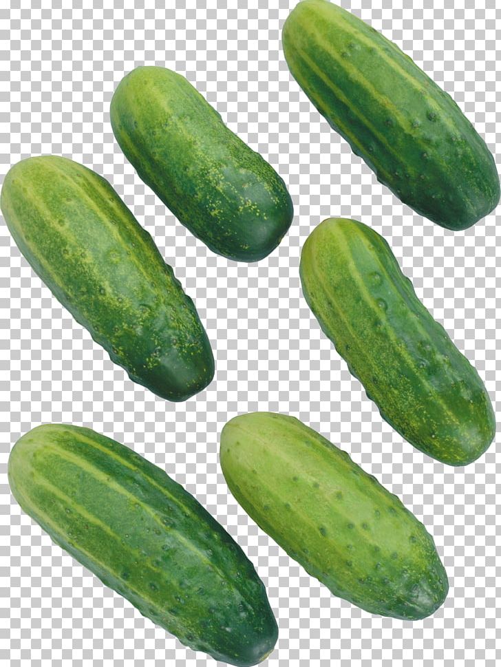 Pickled Cucumber Vegetable Hot Dog Tomato PNG, Clipart, Auglis, Brined Pickles, Cucumber, Cucumber Gourd And Melon Family, Cucumis Free PNG Download