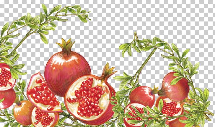 Pomegranate Tomato Food PNG, Clipart, Apple, Encapsulated Postscript, Fruit, Fruit Nut, Leaves Free PNG Download