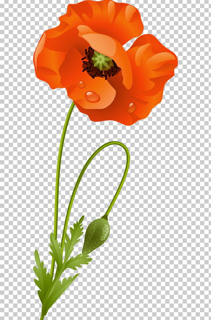 Flower Google S Blume Png Clipart 12 16 17 Advertising Blume Free Png Download