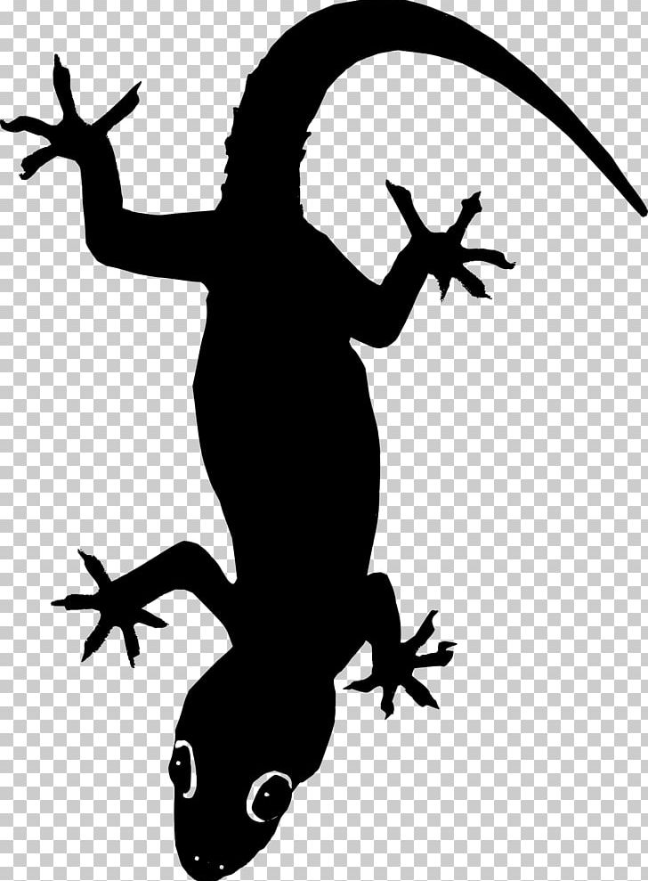 Lizard PNG, Clipart, Amphibian, Animals, Artwork, Black And White, Download Free PNG Download