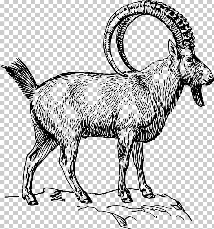 Alpine Ibex Goat PNG, Clipart, Alpine Ibex, Animal Figure, Animals, Black And White, Computer Icons Free PNG Download