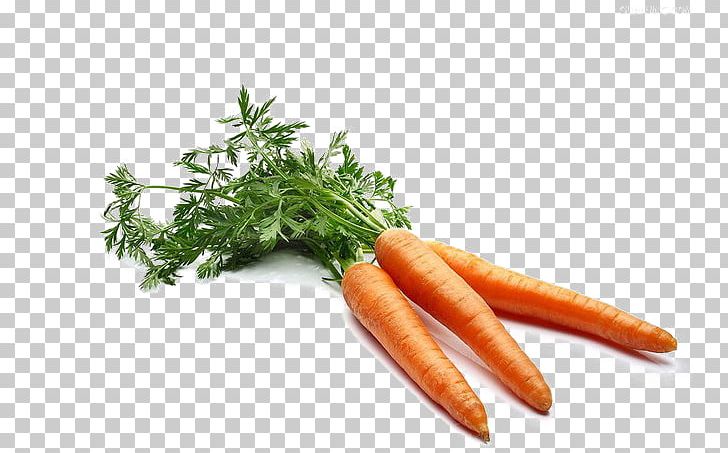 Carrot Daikon Vegetable Red PNG, Clipart, Baby Carrot, Carrot, Daikon, Diet Food, Encapsulated Postscript Free PNG Download