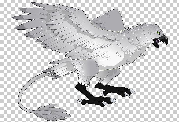 Eagle Fauna Vulture Wildlife Beak PNG, Clipart, Animal, Animal Figure, Animals, Art, Beak Free PNG Download