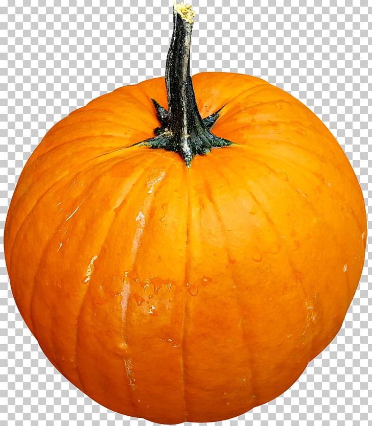 Jack-o-lantern Calabaza Pumpkin Cucurbita Pepo PNG, Clipart, Autumn, Calabaza, Carving, Commodity, Cucumber Gourd And Melon Family Free PNG Download