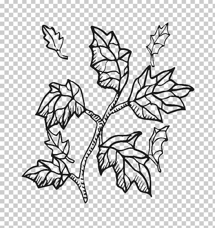Coloring Book Twig Tree Branch PNG, Clipart, Art, Artwork, Autumn, Autumn Leaf Color, Black And White Free PNG Download