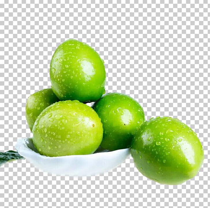 Lime Jujube Lemon Food PNG, Clipart, Blue, Brittle, Citrus, Creativity, Date Free PNG Download