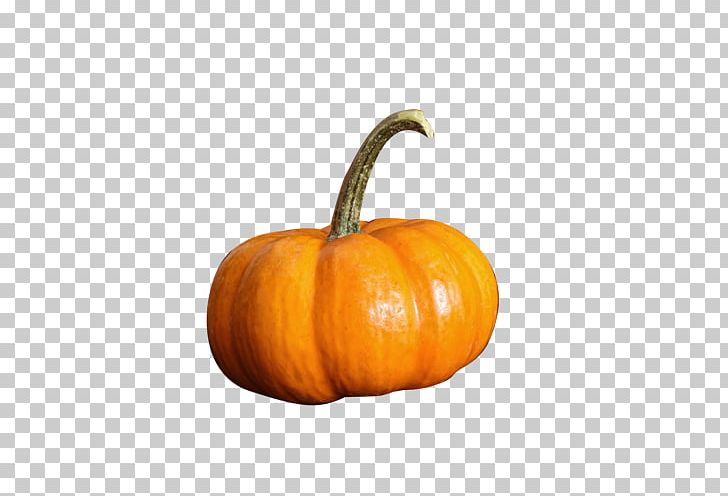 Pumpkin Calabaza Gourd Vegetable PNG, Clipart, Autumn Harvest, Bumper, Food, Fruit, Halloween Free PNG Download