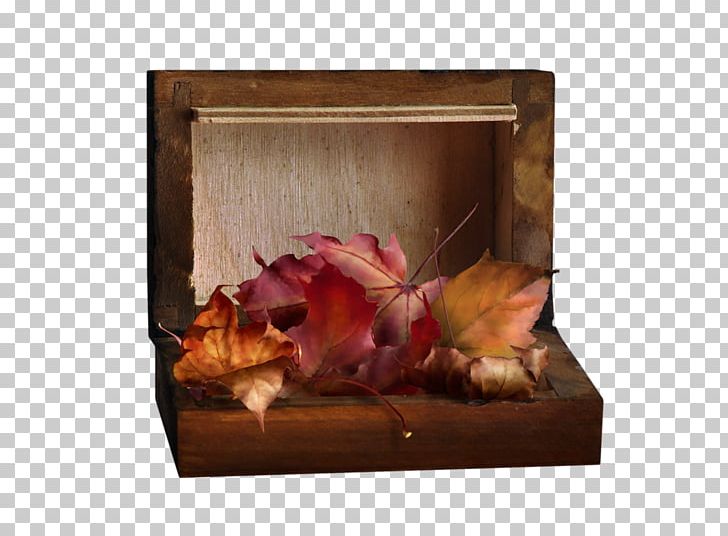 Still Life Photography Autumn Frames Blog PNG, Clipart, Autumn, Blog, Flower, Marie Martine, Nature Free PNG Download