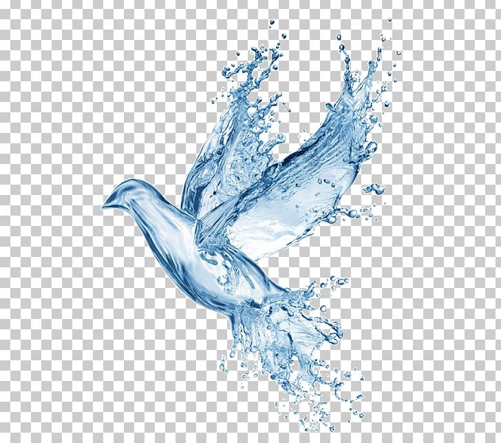 Washing Water Conservation Shower Oil PNG, Clipart, Beak, Bird, Bird Of Prey, Dolphin, Drawing Free PNG Download