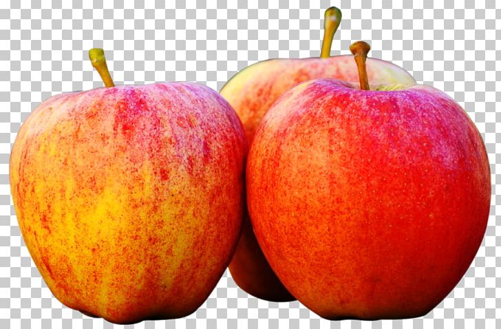 Apple Fruit PNG, Clipart, Apple, Apples, Auglis, Clip Art, Diet Food Free PNG Download