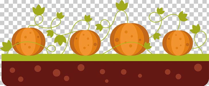 Pumpkin Calabaza Vegetable PNG, Clipart, Calabaza, Cucurbita, Download, Encapsulated Postscript, Field Free PNG Download