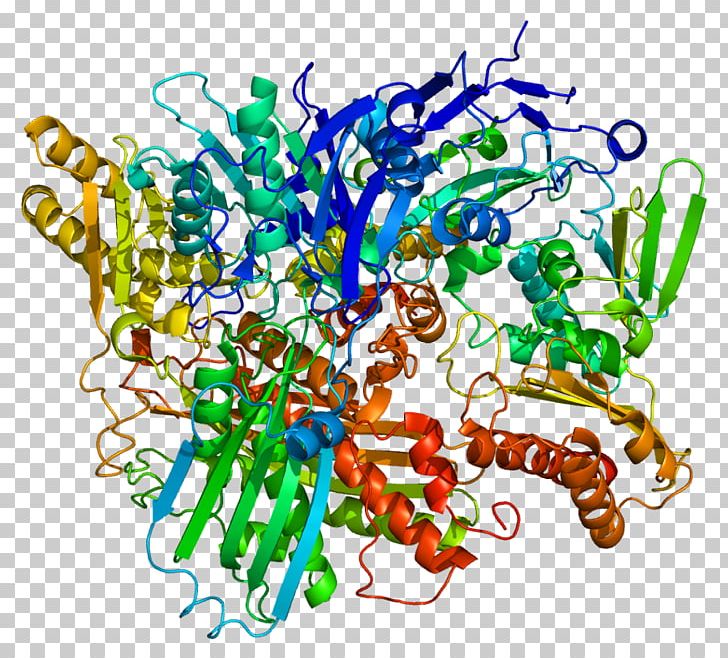 Xanthine Dehydrogenase Xanthine Oxidase Protein PNG, Clipart, Adenine Phosphoribosyltransferase, Area, Art, Artwork, Cofactor Free PNG Download