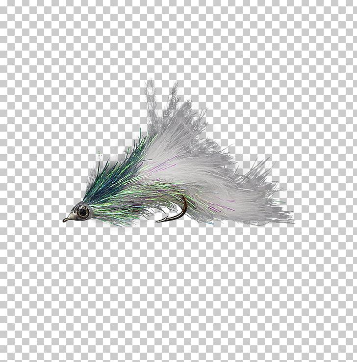 Holly Flies Fly Fishing Popularity Government Of India PNG, Clipart, 2017, Airport, Com, Email, Feather Free PNG Download