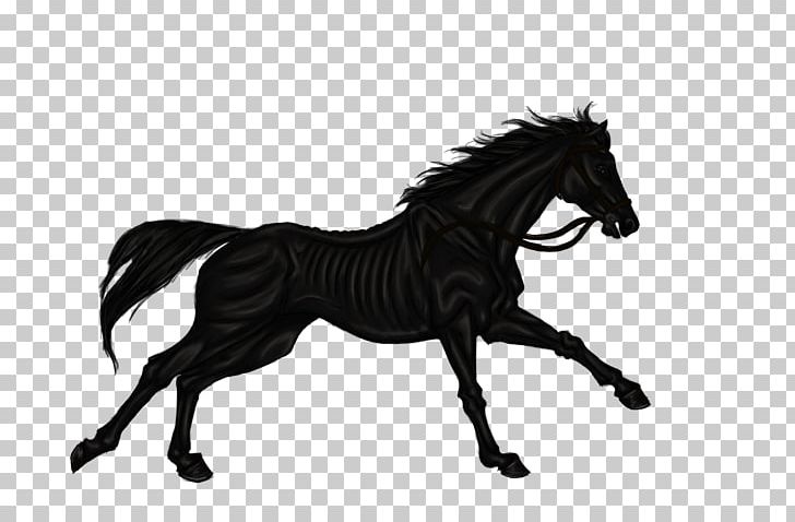 Mane Mustang Stallion Shire Horse Pony PNG, Clipart, Bit, Black, Black And White, Black Horse, Bridle Free PNG Download