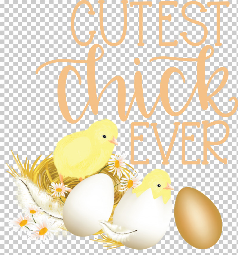 Easter Egg PNG, Clipart, Beak, Easter Egg, Egg, Meter, Yellow Free PNG Download