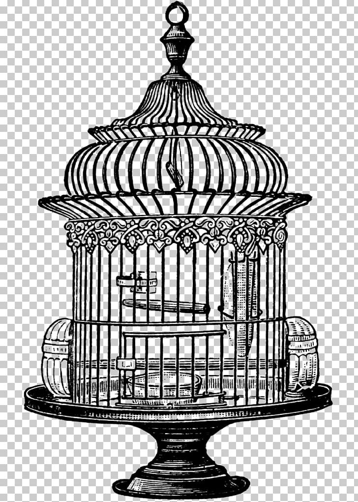 Birdcage Stock Photography PNG, Clipart, Animals, Bird, Birdcage, Black And White, Cage Free PNG Download