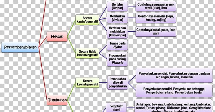 Fertilisation Biology Organism Seleksi Bersama Masuk Perguruan Tinggi Negeri National Entrance Selection For State Universities PNG, Clipart, Analysis, Angle, Area, Biology, Fertilisation Free PNG Download