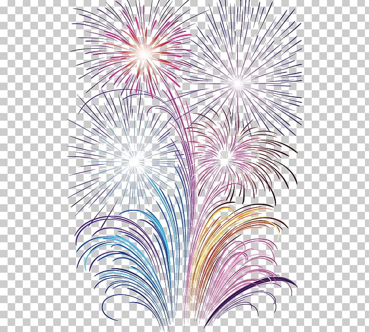 Fireworks Photography New Year PNG, Clipart, Branch, Cartoon Fireworks, Download, Event, Festival Free PNG Download