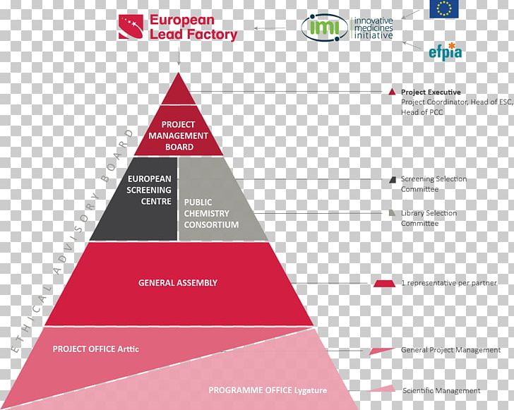 Project Management Governance Board Of Directors European Lead Factory PNG, Clipart, Angle, Board Of Directors, Brand, Diagram, European Union Free PNG Download