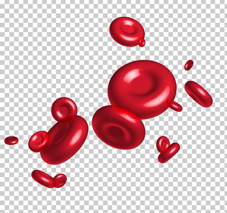 Red Blood Cell PNG, Clipart, Blood Cell, Blood Cells, Blood Donation, Blood Drop, Blood Plasma Free PNG Download