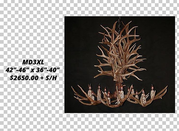 White-tailed Deer Moose Antler Elk PNG, Clipart, Animals, Antler, Antlers By Cody, Chandelier, Deer Free PNG Download