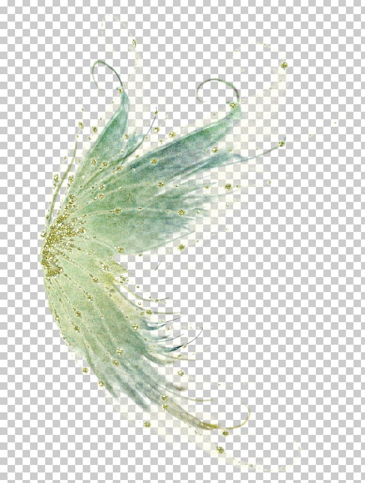 Bird Feather Wing Fairy PNG, Clipart, Animals, Bird, Closeup, Drawing, Fairy Free PNG Download