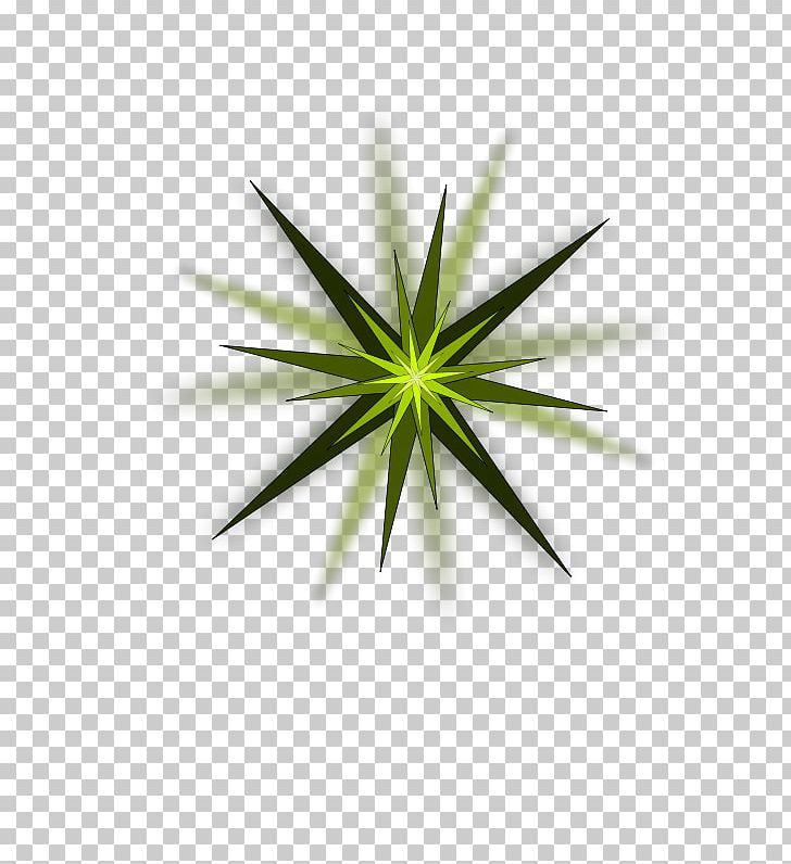Green Star PNG, Clipart, Color, Computer Wallpaper, Flora, Grass, Green Free PNG Download