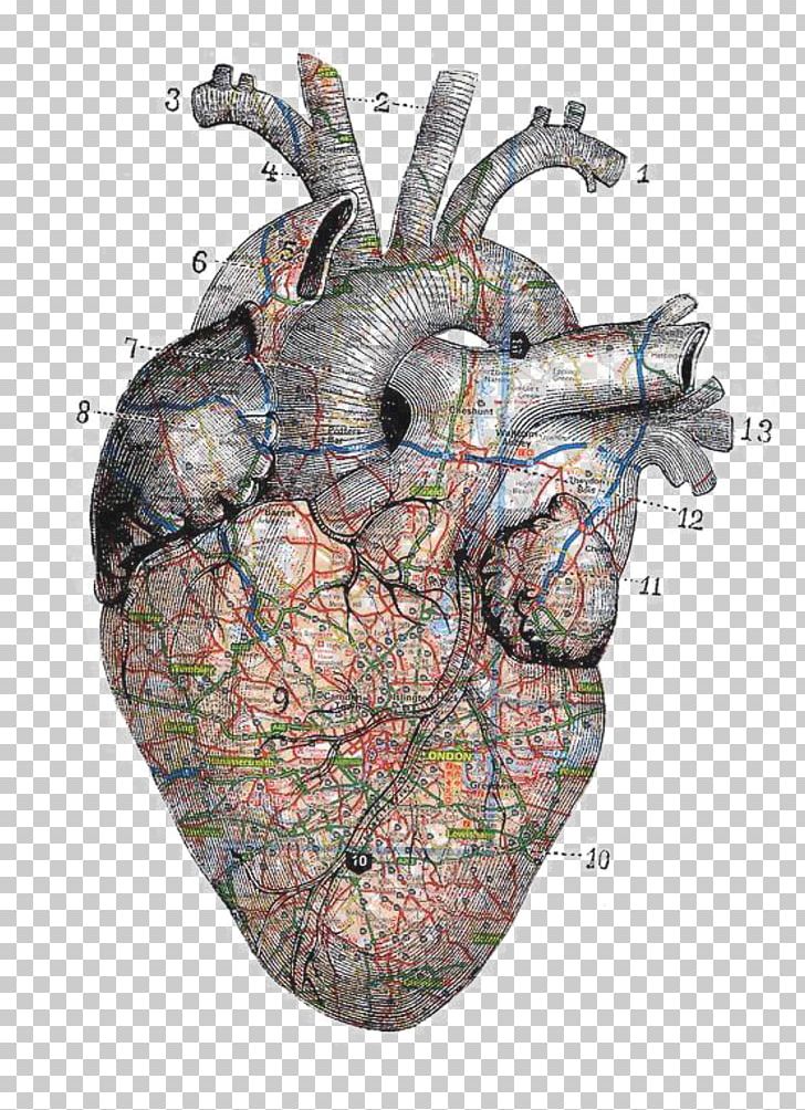 Illustration Heart Drawing Collage PNG, Clipart, Anatomy, Art, Artist, Art Museum, Collage Free PNG Download