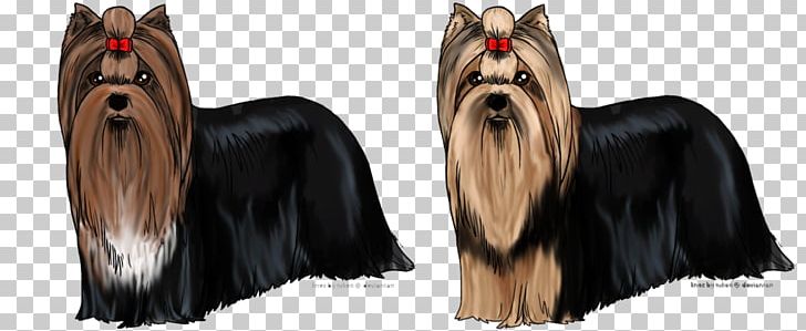 Yorkshire Terrier Australian Silky Terrier Companion Dog Dog Breed PNG, Clipart, Australian Silky Terrier, Breed, Carnivoran, Companion Dog, Dog Free PNG Download