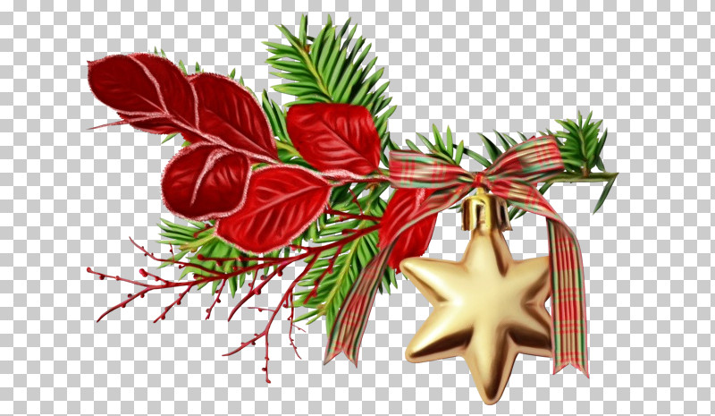 Plant Tree Fir Christmas Conifer PNG, Clipart, Branch, Christmas, Conifer, Fir, Flower Free PNG Download
